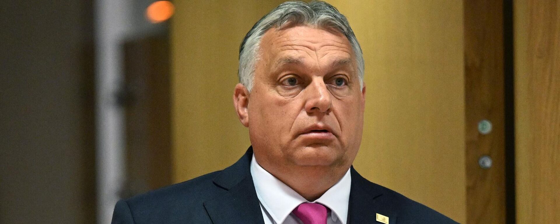 Thủ tướng Hungary Viktor Orban - Sputnik Việt Nam, 1920, 20.02.2026