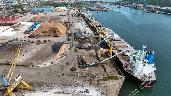 Hoạt động bốc xếp hàng xuất khẩu ở cảng quốc tế Nghi Sơn, phường Nghi Sơn, tỉnh Thanh Hóa - Sputnik Việt Nam