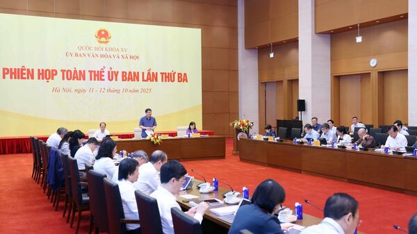 Phiên họp toàn thể lần thứ ba của Ủy ban Văn hóa và Xã hội của Quốc hội - Sputnik Việt Nam