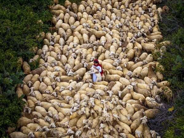 On the Way Home của Maria Gabriela Rocha Gomez, giải nhì hạng mục Hành trình &amp; Phiêu lưu, cuộc thi Siena International Photo Awards 2025 - Sputnik Việt Nam