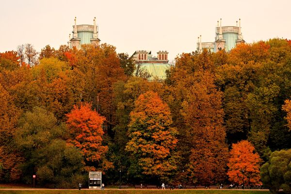 Moskva, nước Nga. Quang cảnh Vườn Hoàng Cung điện Tsaritsyno, nơi những tán lá vàng óng phủ kín mặt đất khi mùa thu lên đến đỉnh điểm - Sputnik Việt Nam