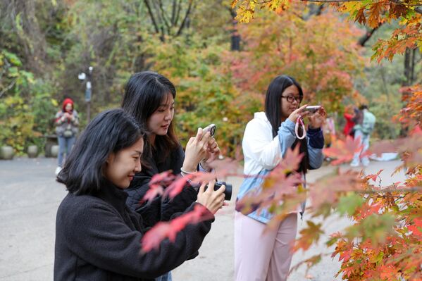 Đan Đông, Trung Quốc. Du khách chụp ảnh lá phong mùa thu rực rỡ sắc màu tại khu vực Thiên Kiều Câu thơ mộng. - Sputnik Việt Nam