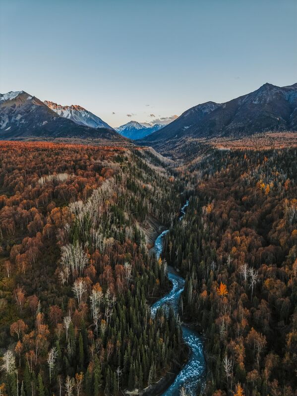 Alaska, Hoa Kỳ. Những ngôi nhà nhỏ bên bờ Hồ Bonney tạo nên một khung cảnh hoàn hảo như trong bưu thiếp với những bông hoa phản chiếu dưới mặt hồ. - Sputnik Việt Nam