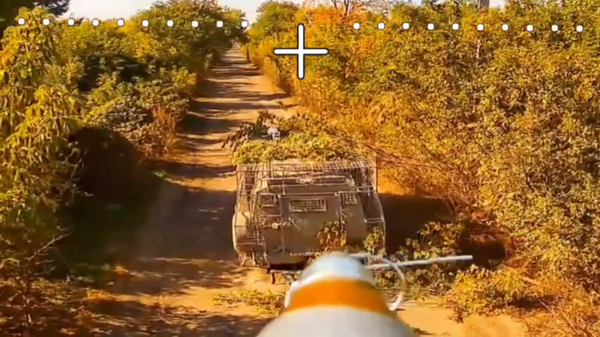 Trinh sát Nga tiêu diệt tới 10 mục tiêu mỗi ngày bằng UAV gần Seversk - Sputnik Việt Nam