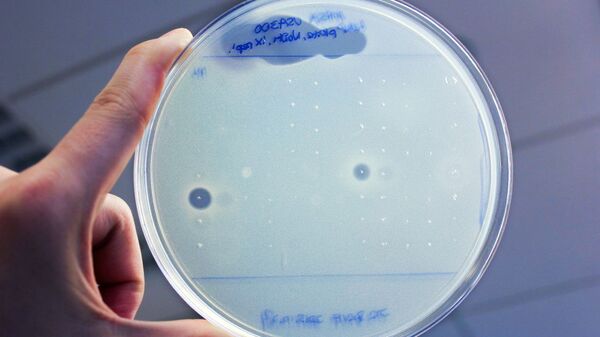 Kháng sinh - Sputnik Việt Nam