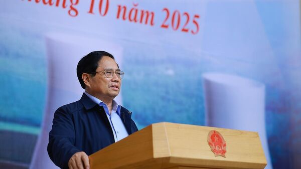 Thủ tướng Phạm Minh Chính, Trưởng Ban Chỉ đạo xây dựng nhà máy điện hạt nhân chủ trì phiên họp lần thứ ba của Ban Chỉ đạo - Sputnik Việt Nam