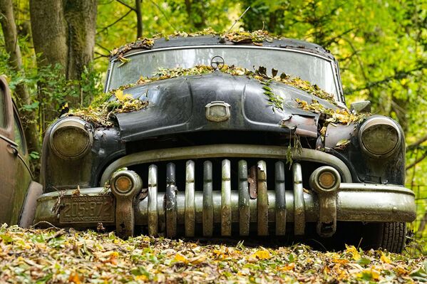 Chiếc xe cổ trong công viên xe cổ tư nhân ở Mettmann, Đức - Sputnik Việt Nam