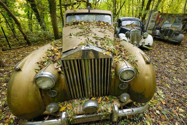 Chiếc xe cổ trong công viên xe cổ tư nhân ở Mettmann, Đức - Sputnik Việt Nam