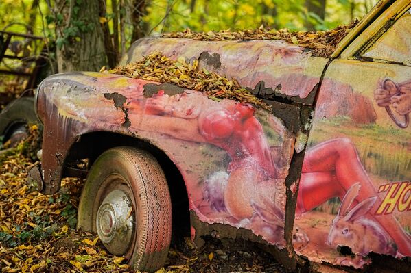 Chiếc xe cổ trong công viên xe cổ tư nhân ở Mettmann, Đức - Sputnik Việt Nam