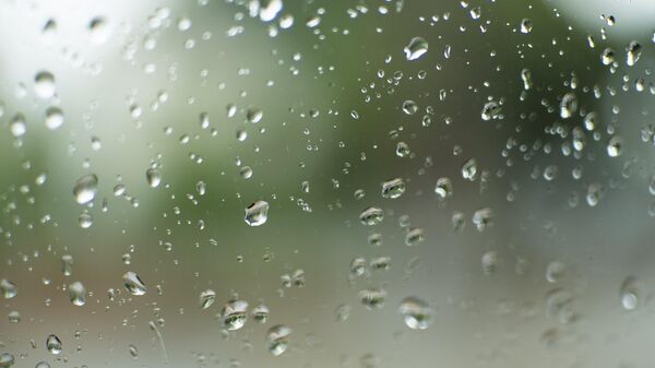 Giọt trên kính - Sputnik Việt Nam