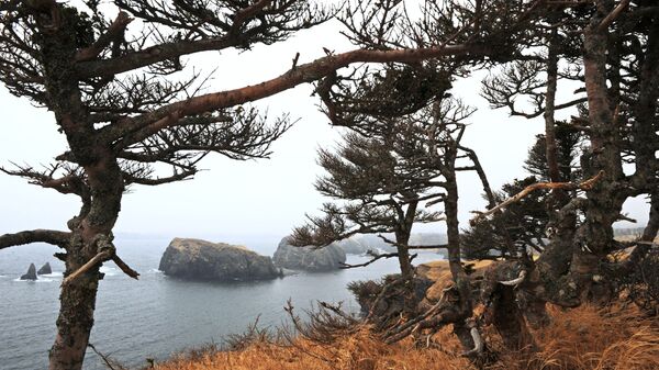 Đảo Shikotan - Sputnik Việt Nam