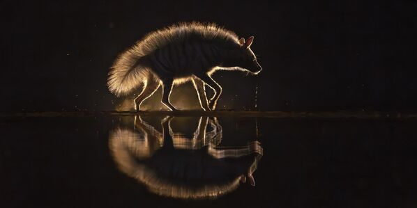 Ảnh Drooling của Xuejun Long, Top 100 hạng mục Amateur Nature Landscape tại cuộc thi EPSON International Pano Awards lần thứ 16 Ảnh Drooling của Xuejun Long, Top 100 hạng mục Amateur Nature Landscape tại cuộc thi EPSON International Pano Awards lần thứ 16 - Sputnik Việt Nam