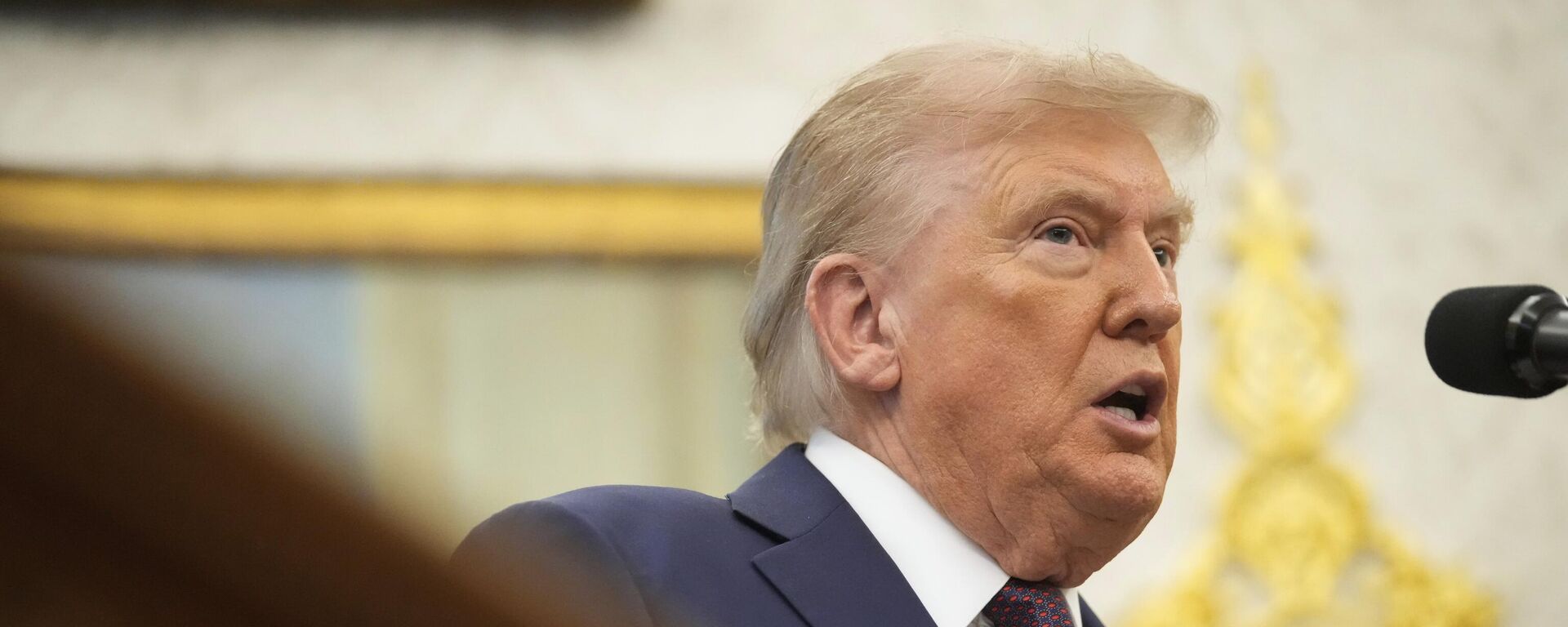 Tổng thống Mỹ Donald Trump - Sputnik Việt Nam, 1920, 02.11.2025