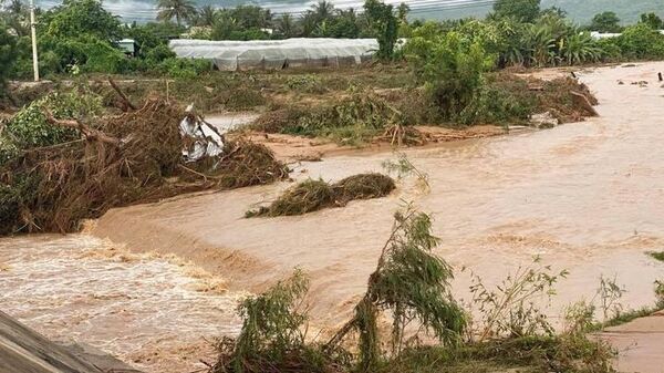 Nước cuốn trôi nhiều cây cối, tài sản của người dân xã Tuy Phong sau vụ vỡ hồ nước. - Sputnik Việt Nam