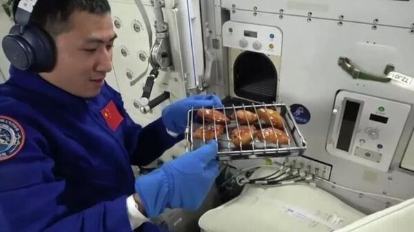 Các phi hành gia Trung Quốc lần đầu làm chuyện ấy: Nướng thịt trên quỹ đạo - Sputnik Việt Nam