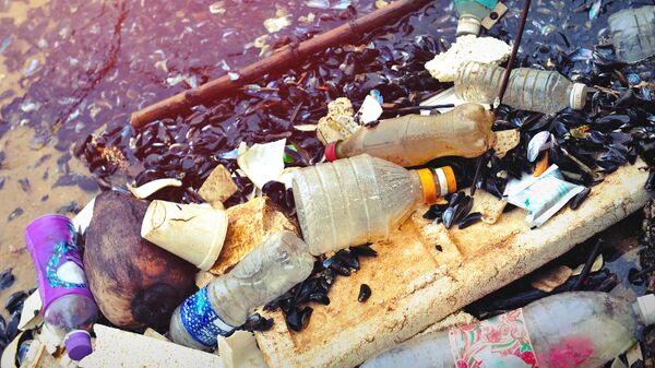 Ô nhiễm môi trường từ rác thải nhựa - Sputnik Việt Nam