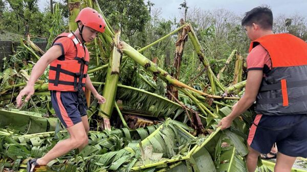 Nhân viên lực lượng bảo vệ bờ biển dọn dẹp cây đổ trong bão Fung-wong tại Virac, Catanduanes, Philippines - Sputnik Việt Nam