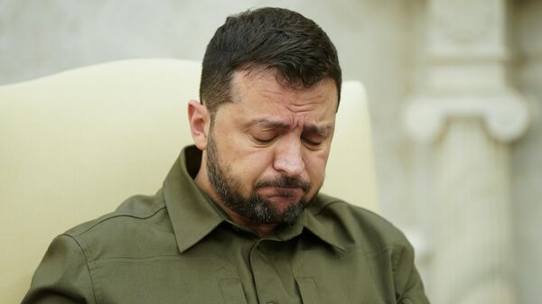 Vladimir Zelensky - Sputnik Việt Nam