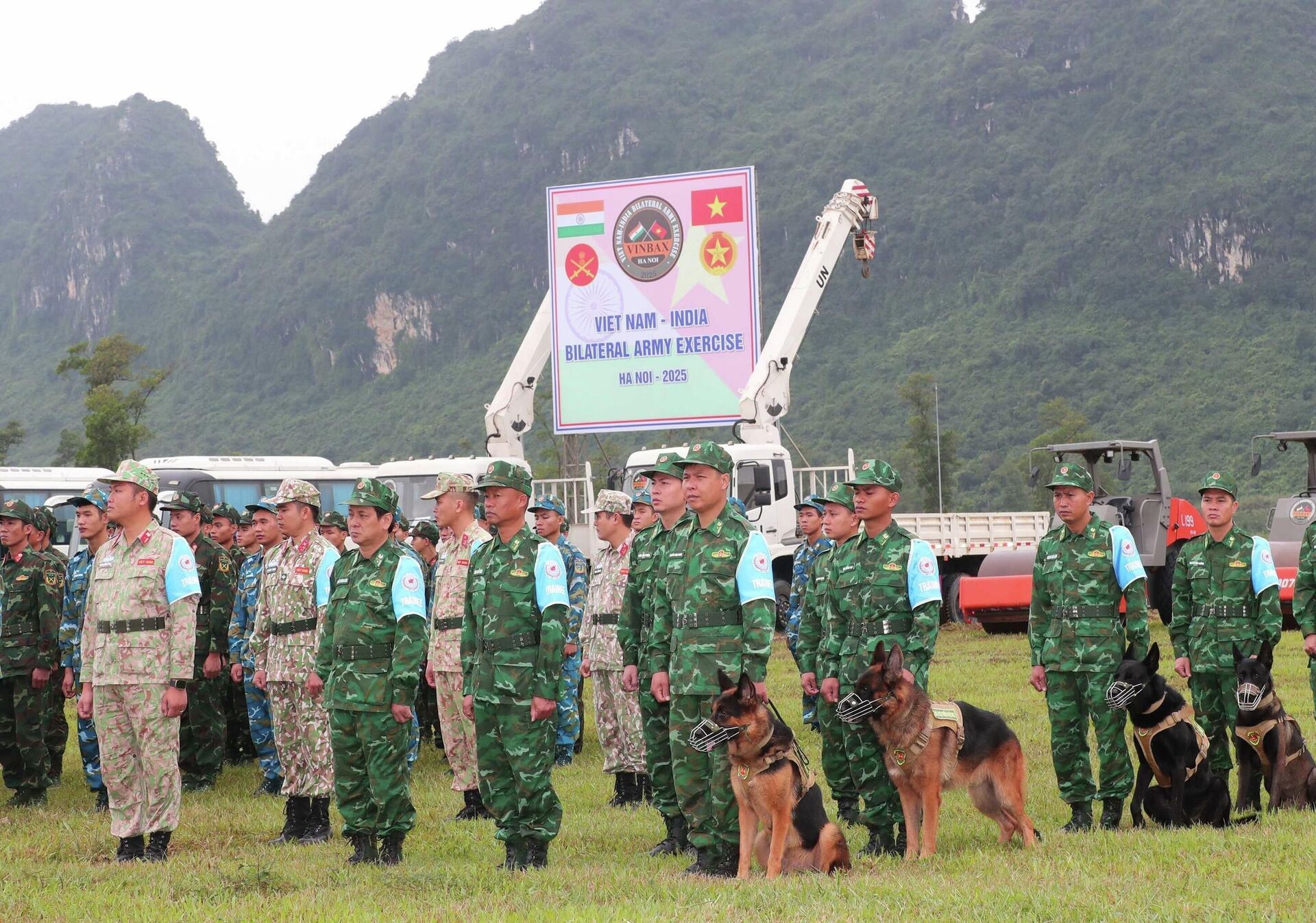 Các sĩ quan, quân nhân Việt Nam tham gia diễn tập - Sputnik Việt Nam, 1920, 15.12.2025