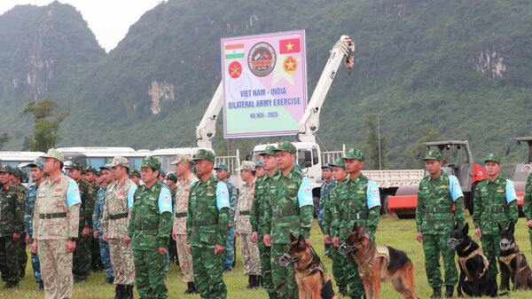 Các sĩ quan, quân nhân Việt Nam tham gia diễn tập - Sputnik Việt Nam