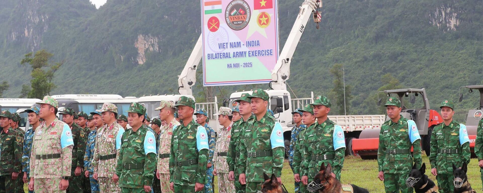 Các sĩ quan, quân nhân Việt Nam tham gia diễn tập - Sputnik Việt Nam, 1920, 11.11.2025