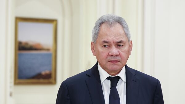 Sergei Shoigu - Sputnik Việt Nam