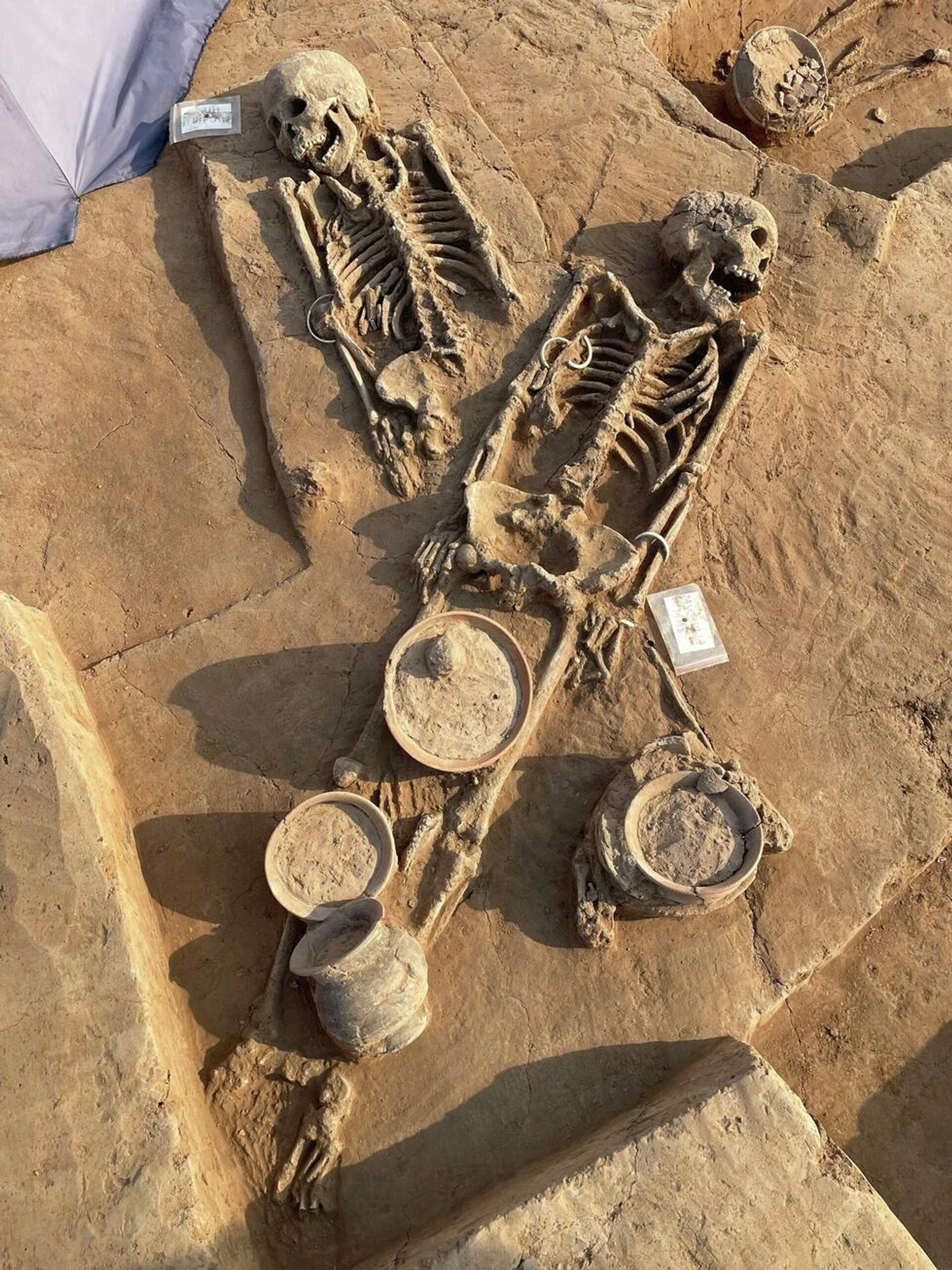 Các bộ xương gần như nguyên vẹn, bên cạnh là những món đồ được chôn kèm người quá cố Các bộ xương gần như nguyên vẹn, bên cạnh là những món đồ được chôn kèm người quá cố - Sputnik Việt Nam, 1920, 14.11.2025