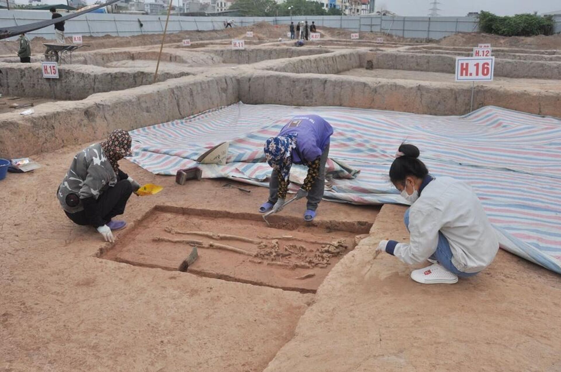 Ngôi mộ số 14 thuộc hố khai quật H16 tại khu di tích Vườn Chuối được xác định là của một người thuộc tầng lớp quý tộc Ngôi mộ số 14 thuộc hố khai quật H16 tại khu di tích Vườn Chuối được xác định là của một người thuộc tầng lớp quý tộc - Sputnik Việt Nam, 1920, 14.11.2025