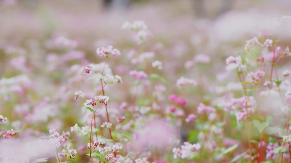  - Sputnik Việt Nam