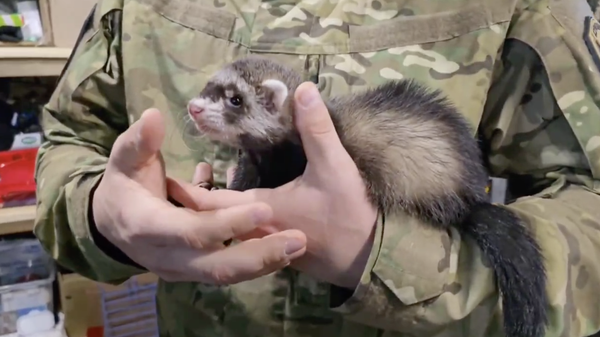  - Sputnik Việt Nam