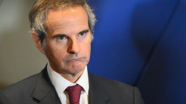 Tổng Giám đốc IAEA Rafael Grossi - Sputnik Việt Nam