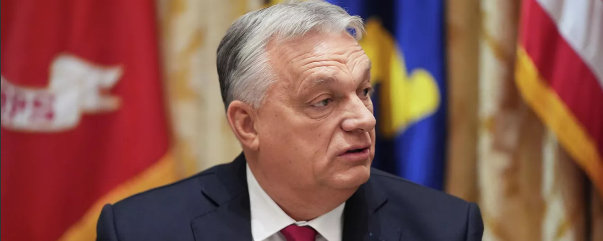Thủ tướng Hungary Viktor Orban - Sputnik Việt Nam, 1920, 17.11.2025