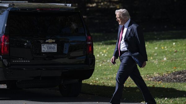 Tổng thống Hoa Kỳ Donald Trump - Sputnik Việt Nam