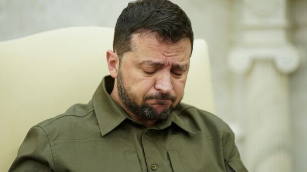 Vladimir Zelensky - Sputnik Việt Nam