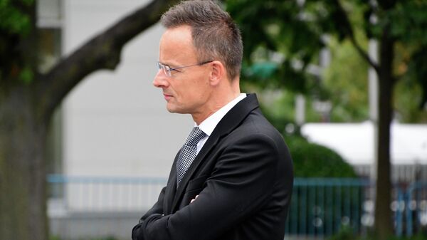 Bộ trưởng Ngoại giao Hungary Peter Szijjarto - Sputnik Việt Nam