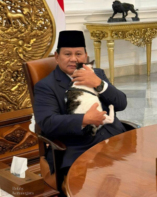 Tổng thống Indonesia Prabowo Subianto với chú mèo Bobby Kartanegara - Sputnik Việt Nam