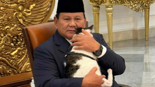 Президент Индонезии Прабово Субианто с котом Бобби Кертанегаром - Sputnik Việt Nam