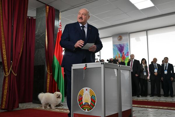 Tổng thống đương nhiệm Belarus Alexandr Lukashenko bỏ phiếu trong một cuộc bầu cử. Ở phía sau là chú chó Umka của ông - Sputnik Việt Nam