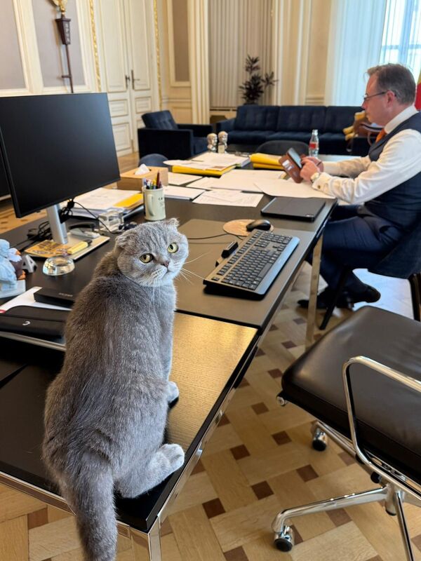 Thủ tướng Bỉ Bart De Wever và chú mèo Maximus Textoris Pulcher - Sputnik Việt Nam