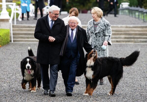 Tổng thống CH Liên bang Đức Frank-Walter Steinmeier và phu nhân Elke Büdenbender đi dạo cùng Tổng thống Ireland Michael D. Higgins, phu nhân Sabina Higgins và hai chú chó Bernese Mountain Dog tên Brod và Misneach - Sputnik Việt Nam