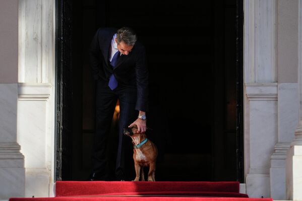 hủ tướng Hy Lạp Kyriakos Mitsotakis vuốt ve chú chó Pinat của mình trước khi Tổng thống Romania Klaus Iohannis đến dinh thự Maximos - Sputnik Việt Nam