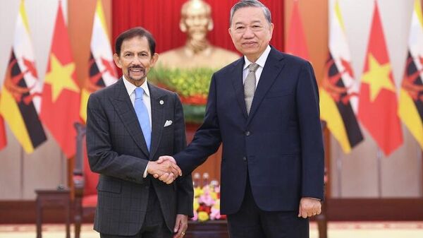 Tổng Bí thư Tô Lâm tiếp Quốc vương Brunei Darussalam Haji Hassanal Bolkiah - Sputnik Việt Nam