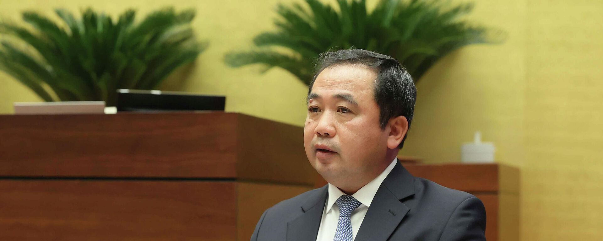 Bộ trưởng Bộ Nông nghiệp và Môi trường Trần Đức Thắng giải trình, làm rõ một số vấn đề đại biểu Quốc hội nêu. - Sputnik Việt Nam, 1920, 01.12.2025