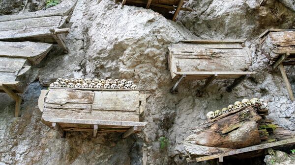 Những chiếc quan tài treo tại Kete Kesu, một vách đá nghĩa trang ở Tana Toraja trên đảo Sulawesi, Indonesia - Sputnik Việt Nam