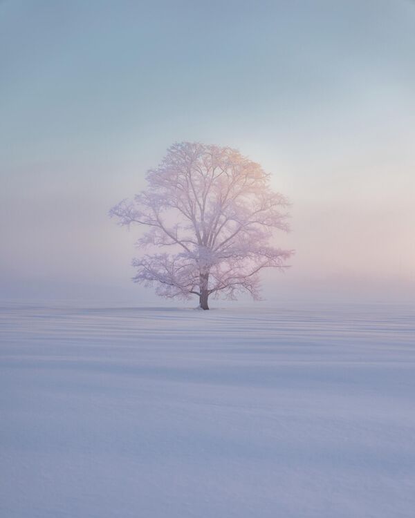 Bức tranh “A Whisper of Light” (“Thì thầm ánh sáng”) của nhà nhiếp ảnh Đài Loan Kung-Fu Li, giành giải nhất hạng mục Snow &amp; Ice (Tuyết và Băng) cuộc thi The 12th International Landscape Photographer of the Year - Sputnik Việt Nam