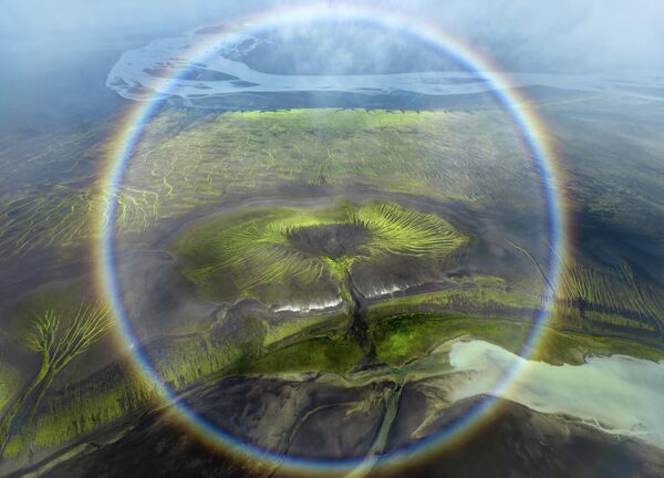 Bức tranh “Rainbow Tree” (“Cây cầu vồng”) của nhà nhiếp ảnh Iceland Jeroen Van Nieuwenhove, lọt vào vòng chung kết - Sputnik Việt Nam