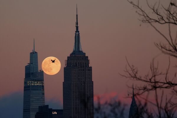 Siêu trăng tròn sau các tòa nhà Empire State Building tại New York, Mỹ - Sputnik Việt Nam