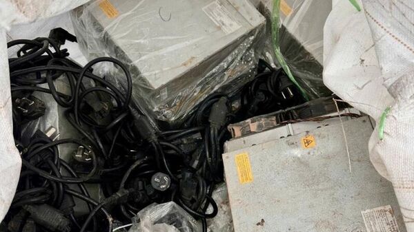 Một số trâu cày trong lô hàng lậu bị Công an Quảng Trị thu giữ - Sputnik Việt Nam