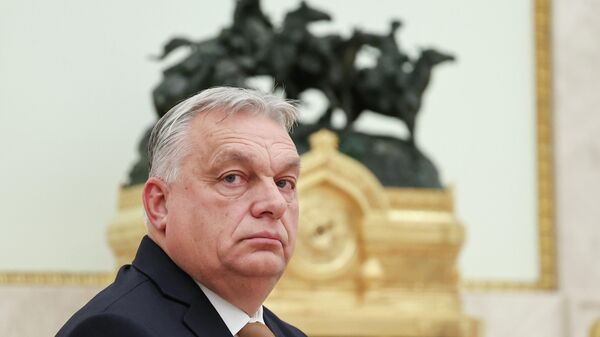 Thủ tướng Hungary Viktor Orban - Sputnik Việt Nam