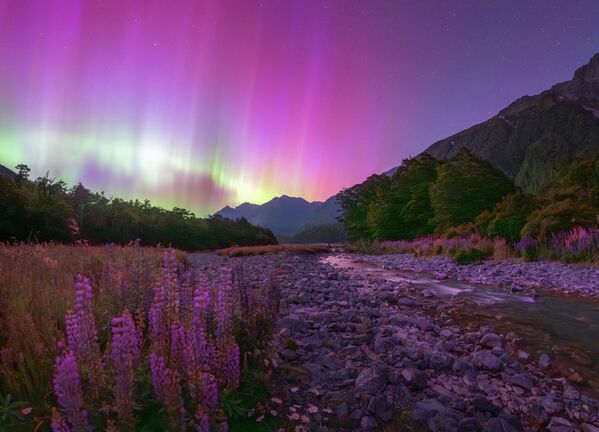 Bức ảnh “Fiordland Aurora and Lupins” (“Cực quang Fiordland và hoa đậu tía”) của nhiếp ảnh gia Douglas Thorne, lọt vào top 25 Bức ảnh xuất sắc nhất cuộc thi Northern Lights Photographer of the Year lần thứ 8 Bức ảnh “Fiordland Aurora and Lupins” (“Cực quang Fiordland và hoa đậu tía”) của nhiếp ảnh gia Douglas Thorne, lọt vào top 25 Bức ảnh xuất sắc nhất cuộc thi Northern Lights Photographer of the Year lần thứ 8 - Sputnik Việt Nam